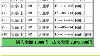 207万馬券的中画像.png