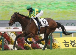 天皇賞春2017予想サトノダイヤモンド.jpg