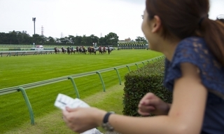中山競馬場で競馬を楽しむ.jpeg