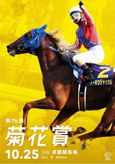 菊花賞2015予想.jpg