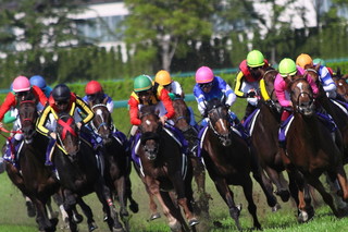 1馬.jpg